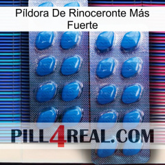 Píldora De Rinoceronte Más Fuerte viagra2